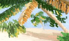 古老的制陶技艺:济南龙山黑陶