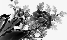 2022年三月初三出生的男孩 样貌清秀少年艰苦