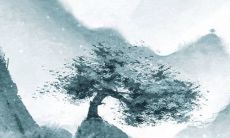 2022年6月24日五行穿衣指南 今日衣服颜色搭配查询