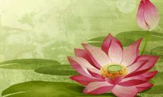 2022年6月28日五行属性查询 每日五行穿衣搭配