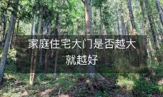 家庭住宅大门是否越大就越好