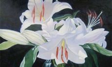 2022年三月初三出生的女孩是什么命 一生逍遥不愁吃穿