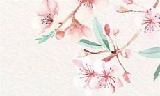 老板办公室最佳布局 办公布局五行阵