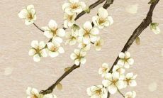 2022年最好的八字 戊土己土事业进步提升职权更高