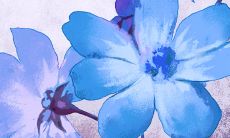 2022年9月出生的宝宝的八字 不达到目标绝不会放弃