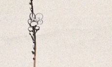 2021年8月26日能开张吗 是不是好日子