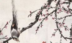 2021年8月24日宜开张开业吗 是开张吉日吗