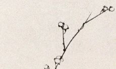 2021年8月25日店铺开张好吗 是黄道吉日吗