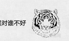 虎和蛇在一起对谁不好