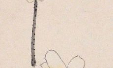 2021年8月18日店铺开张好吗 是不是好日子