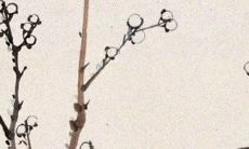 2021年8月27日开张大吉吗 店铺开张合适吗