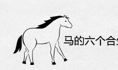 马的六个合生肖是什么生肖