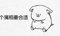 属猪和哪几个属相最合适