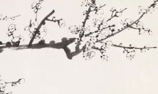 2021年8月14日公司开张好不好 是不是好日子