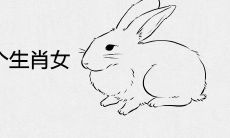 属兔男最爱哪个生肖女