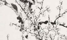 2021年8月15日是开张吉日吗 店铺开张合适吗