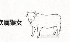 属牛男非常喜欢属猴女为什么 二人婚配合适吗