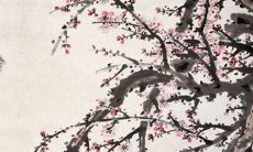 2021年8月23日开张合适吗 店铺开张合适吗