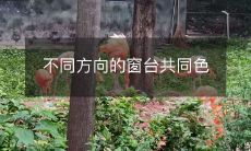 不同方向的窗台共同色