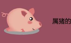 属猪的桃花劫是谁