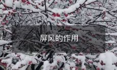 屏风的作用