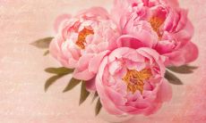 每层楼层的具体五行属性来选择最合适买的层数