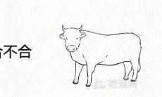 两个属牛的合不合 在一起婚配的婚姻结局