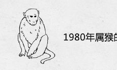 1980年属猴的桃花贵人