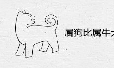 属狗比属牛大3岁好不好 能做夫妻吗