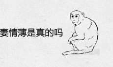 80年猴人夫妻情薄是真的吗 婚姻结局如何