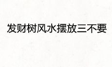 发财树风水摆放三不要 禁忌放在什么位置