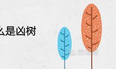 樟树为什么是凶树 可以种在家门口吗