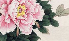 2022年11月13日是入宅最旺日子吗 老黄历查询