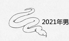 2021年男猪女蛇的夫妻婚姻如何 差6岁结婚好吗