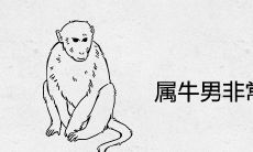 属牛男非常喜欢属猴女为什么 婚姻配对的结果怎么样