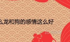 为什么龙和狗的感情这么好 双方的运势运程怎么样