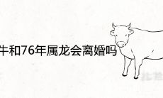 73年属牛和76年属龙会离婚吗 能过一辈子吗
