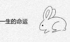 牛配兔一生的命运