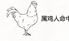 属鸡人命中注定的另一半