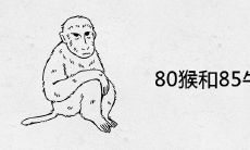 80猴和85牛合不合