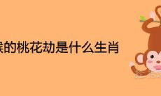 属猴的桃花劫是什么生肖 一生克星的属相