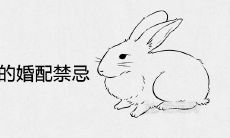 2021年属兔的婚配禁忌有哪些 犯克属相是什么