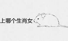 鼠男容易爱上哪个生肖女