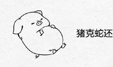 猪克蛇还是蛇克猪 结婚后能过一辈子吗