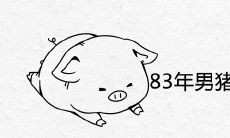 83年男猪跟85年牛女财运如何 适合婚配吗