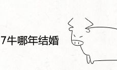 96鼠和97牛哪年结婚