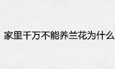 家里千万不能养兰花为什么 风水寓意不吉利吗