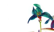 正月十五元宵节意义是什么 满灯是什么意思