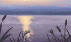 失去了才后悔——那些总是在想前任的星座