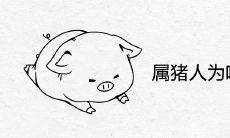 属猪人为啥不能戴玉 什么人不适合佩戴